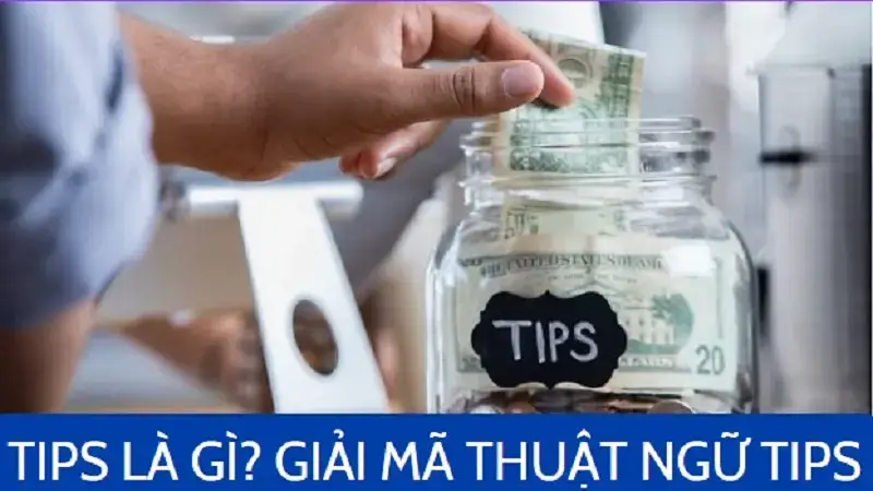 Giair mã thuật ngữ tips trong đời sống loài người