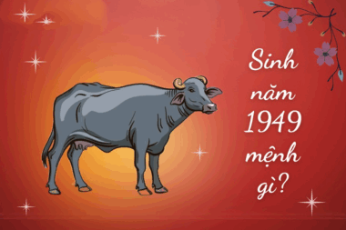 Người sinh năm 1949 tuổi gì? Người tuổi Kỷ Sửu hợp màu gì, hợp tuổi nào?
