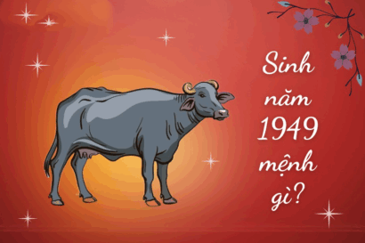 Người sinh năm 1949 tuổi gì? Tử vi người tuổi Kỷ Sửu