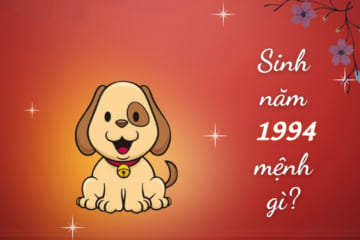 Người Sinh Năm 1994 Tuổi Gì? Tử Vi Người Tuổi 1994