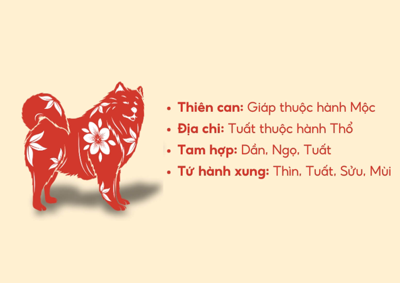 Tuổi Giáp Tuất hợp gì về xung gì