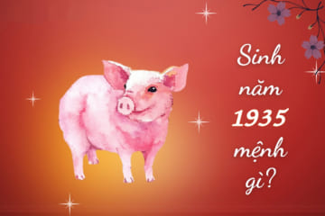 Người sinh năm 1935 tuổi gì? Tử vi trọn đời tuổi Ất Hợi 1935