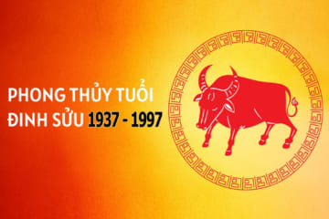 Tử vi tuổi Đinh Sửu 1937: Luận giải cuộc đời, sự nghiệp, hôn nhân và vận hạn