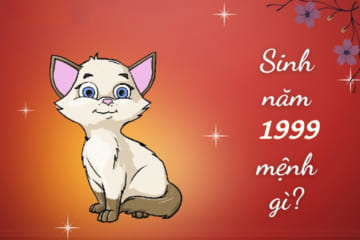 Người sinh năm 1999 tuổi gì. Tử vi người tuổi 1999 chi tiết nhất