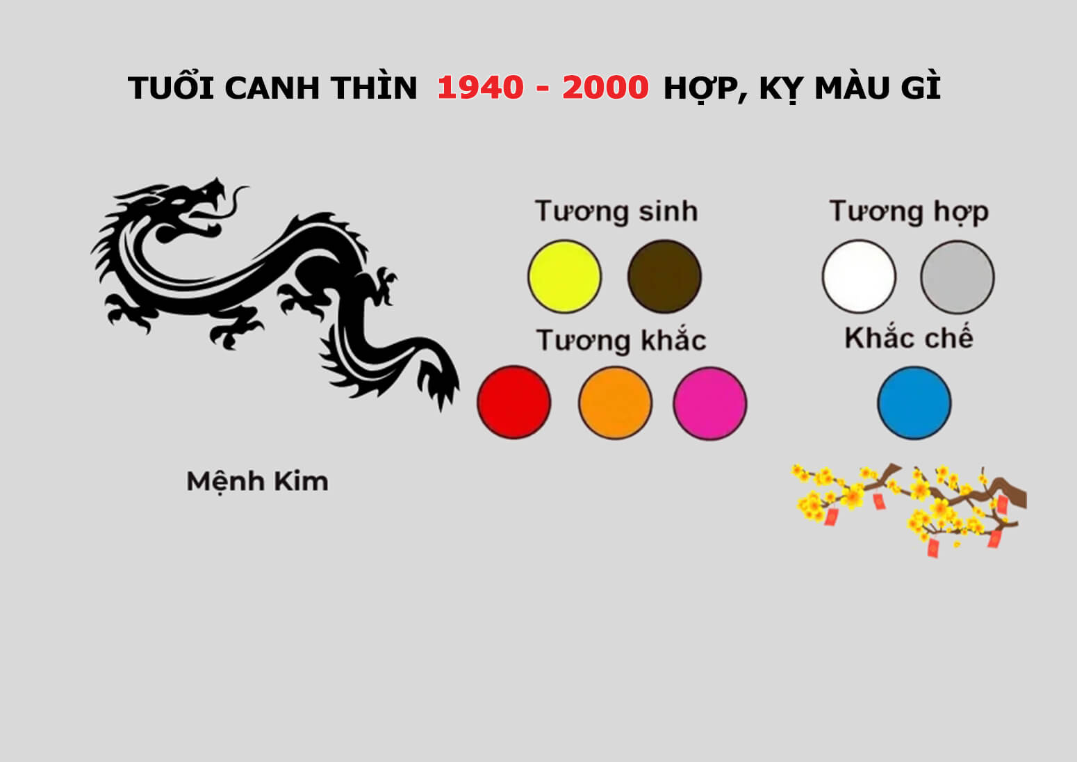 Năm sinh 1940 -2000 hợp, kỵ màu gì