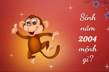 Giải mã tử vi người sinh năm 1944 theo phong thủy Bát Trạch