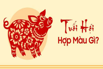 Tử vi tuổi Đinh Hợi 1947: Hợp tuổi nào, làm nhà năm nào tốt?
