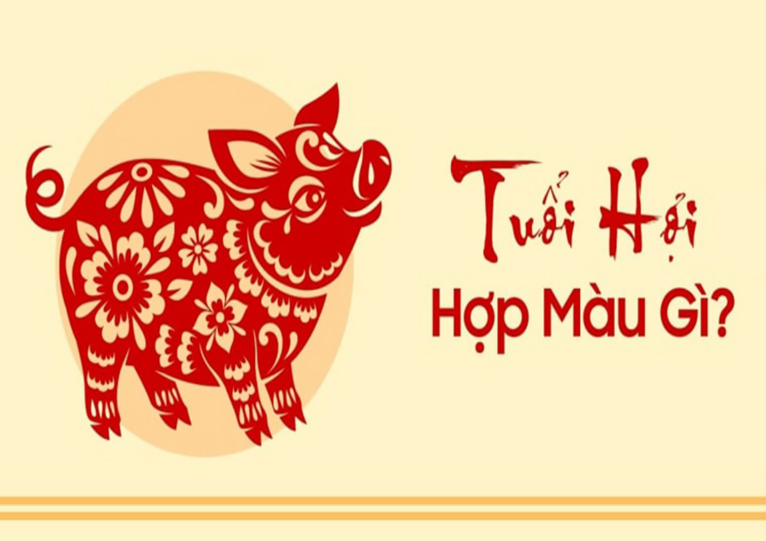 Tuổi Đinh Hợi sinh năm 1947 - 2007 hợp màu gì?