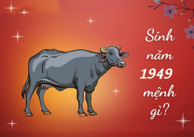 Tử vi người sinh năm 1949 từ A–Z: Làm nhà, hướng tốt, tuổi hợp