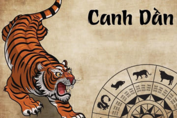Chuyên gia luận giải tử vi tuổi Canh Dần 1950 chi tiết