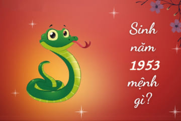 Người sinh năm 1953 tuổi gì. Tử vi người tuổi 1953