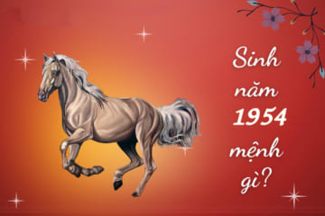 Người sinh năm 1954 tuổi gì. Tử vi người tuổi 1954