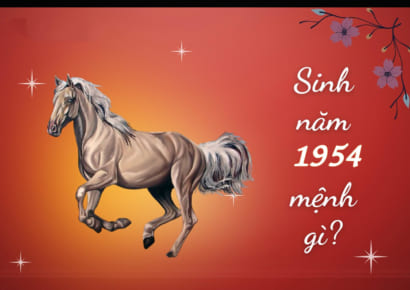 Người sinh năm 1954-2014 tuổi gì? mệnh gì?
