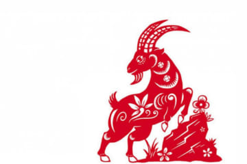 Người sinh năm 1955 tuổi gì. Tử vi người tuổi 1955
