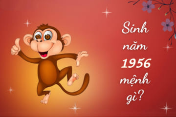 Người sinh năm 1956 tuổi gì. Tử vi người tuổi 1956