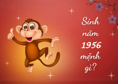 Người sinh năm 1956 tuổi gì. Tử vi người tuổi 1956
