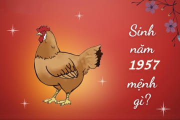 Người sinh năm 1957 tuổi gì. Tử vi người tuổi 1957