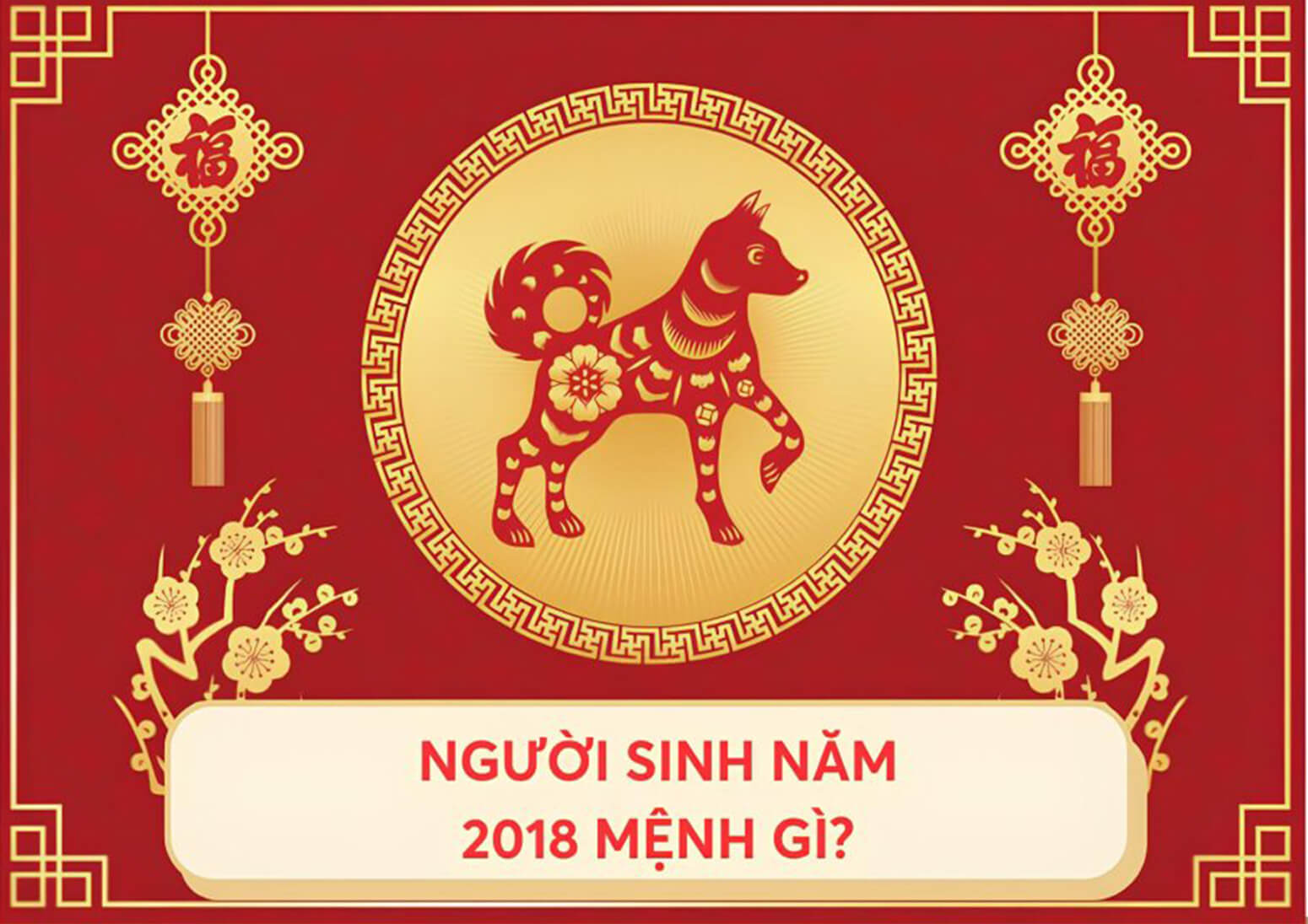 Luận giải phòng thủy tử vi sinh năm Mậu Tuất 1958 - 2018