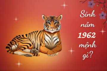 Người sinh năm 1962 tuổi gì? Tử vi người tuổi 1962 chi tiết nhất