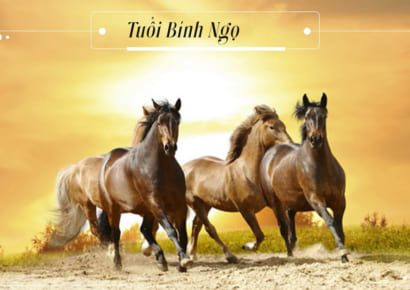 Luận giải tử vi người sinh năm 1966-2026