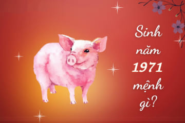 Người Sinh Năm 1971 Tuổi Gì? Tử Vi Người Tuổi 1971 cập nhập 2026