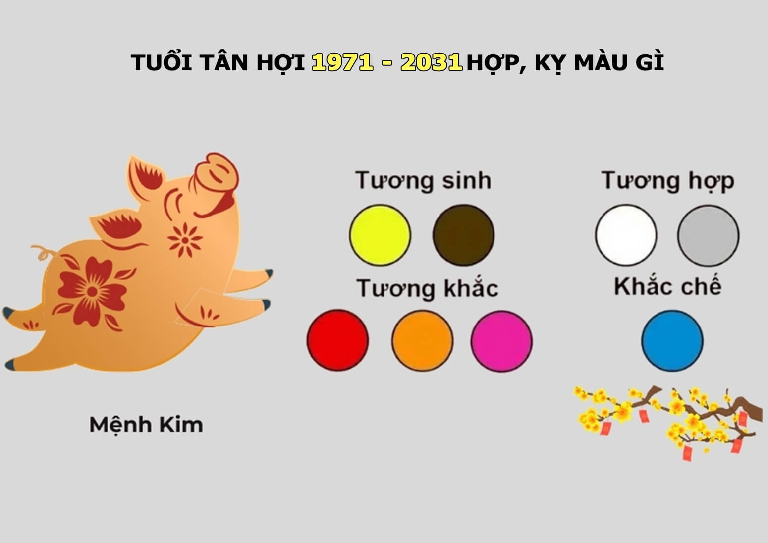 Tuổi Tân Hợi 1971-2031 hợp màu gì kỵ màu gì?