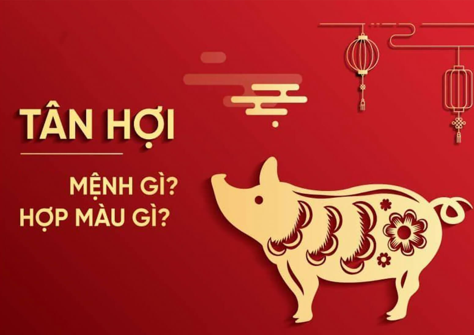 Lý giải tử vi trọn đời người sinh năm Tân Hợi 1971-2031