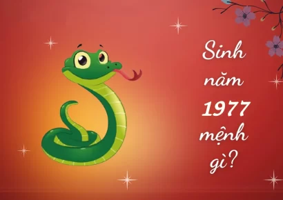 Người sinh năm Đinh Tỵ 1977-2037 tuổi gì mệnh gì?