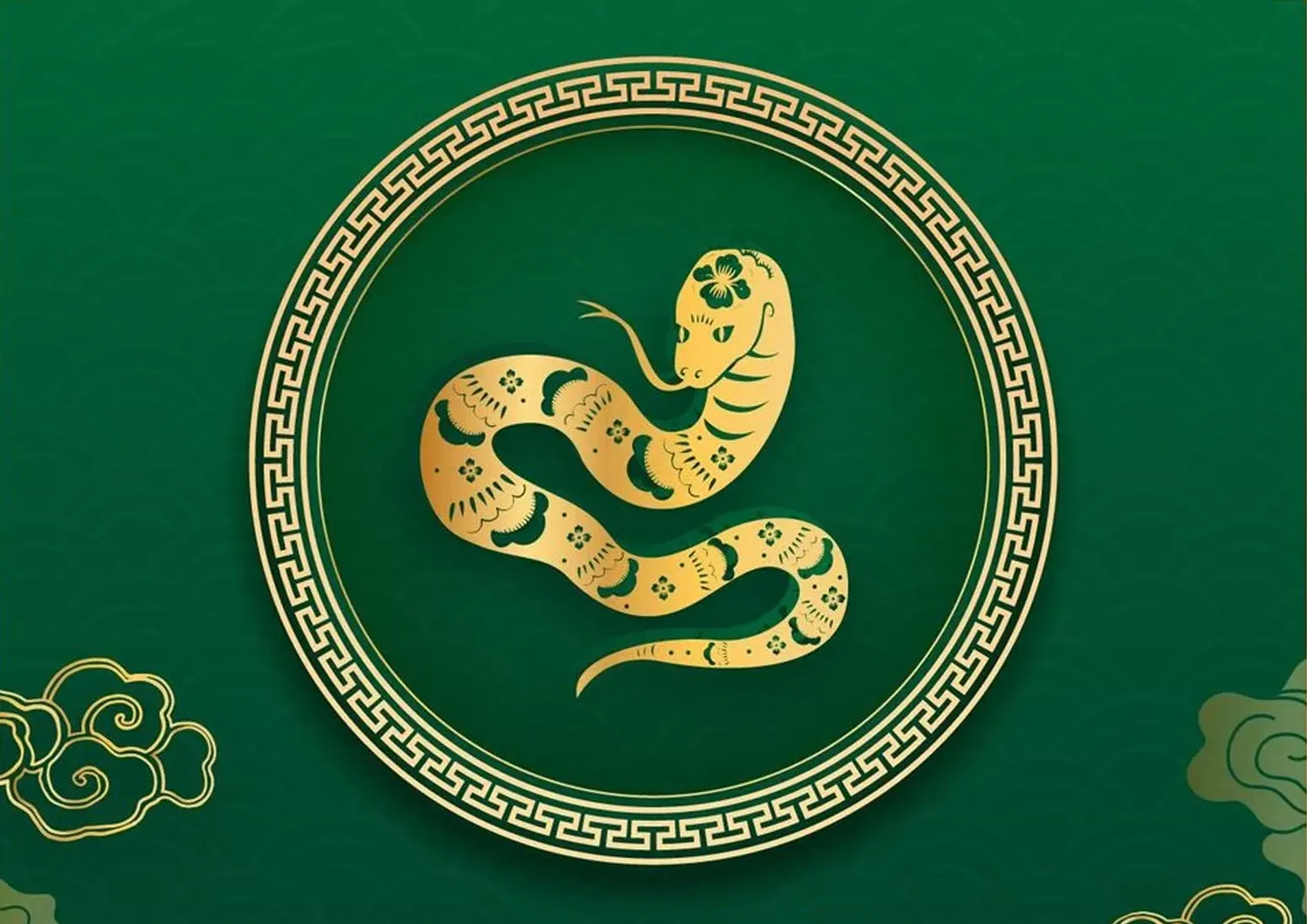 Lý giải tử vi trọn đời người sinh năm Đinh Tỵ 1977-2037