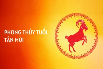 Người Sinh Năm 1991 Tuổi Gì? Tử Vi Người Tuổi 1991