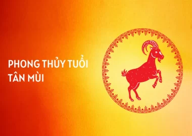 Người Sinh Năm 1991 Tuổi Gì? Tử Vi Người Tuổi 1991